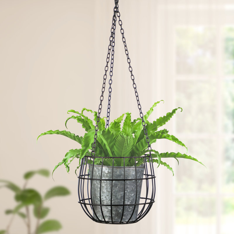 Drumnagee Metal Hanging Planter