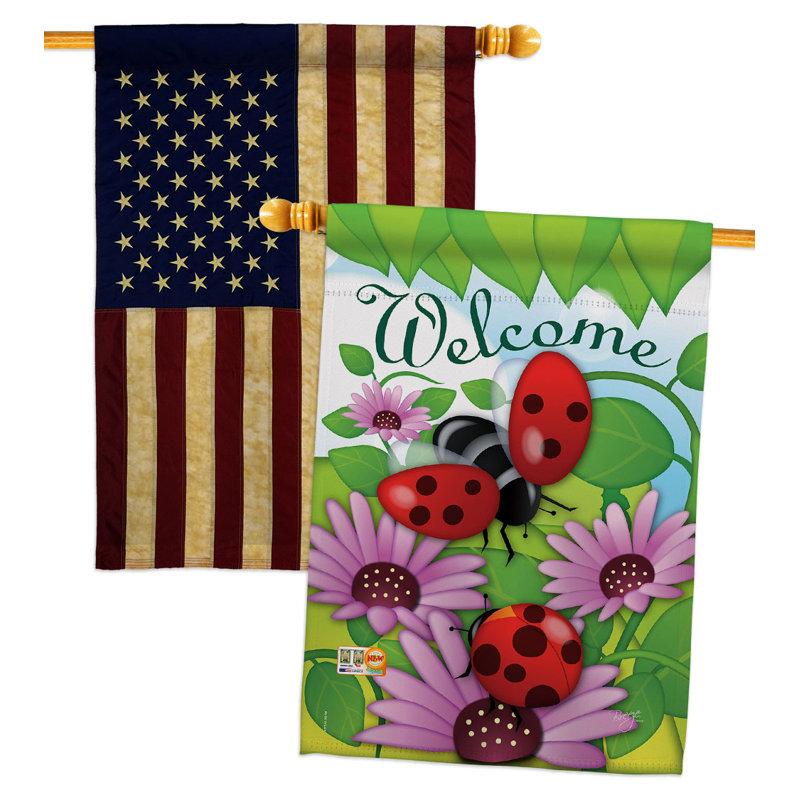 Drapeaux 40 x 28 pi