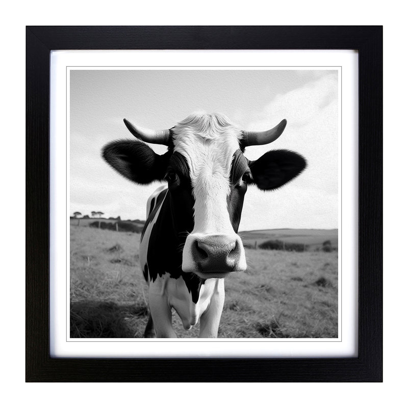 Cow Photograph - Framed Print, Black