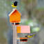 Mangeoire d’oiseaux à plateau diederike-1350035940