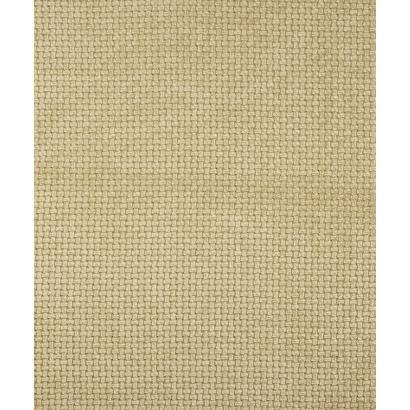 Classroom Fabric