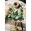 Branche de eucalyptus artificielle