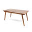 Outdoor 69" Solid Wood Dining Table
