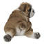 Chiot bouledogue couché