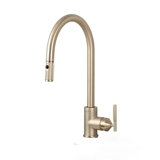 Kitchen Faucet / Pull-Out With Dual Spray / Linear