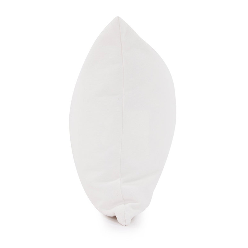 Gemmell Outdoor Sunbrella Pillow Cover & Insert, Seascape Natural