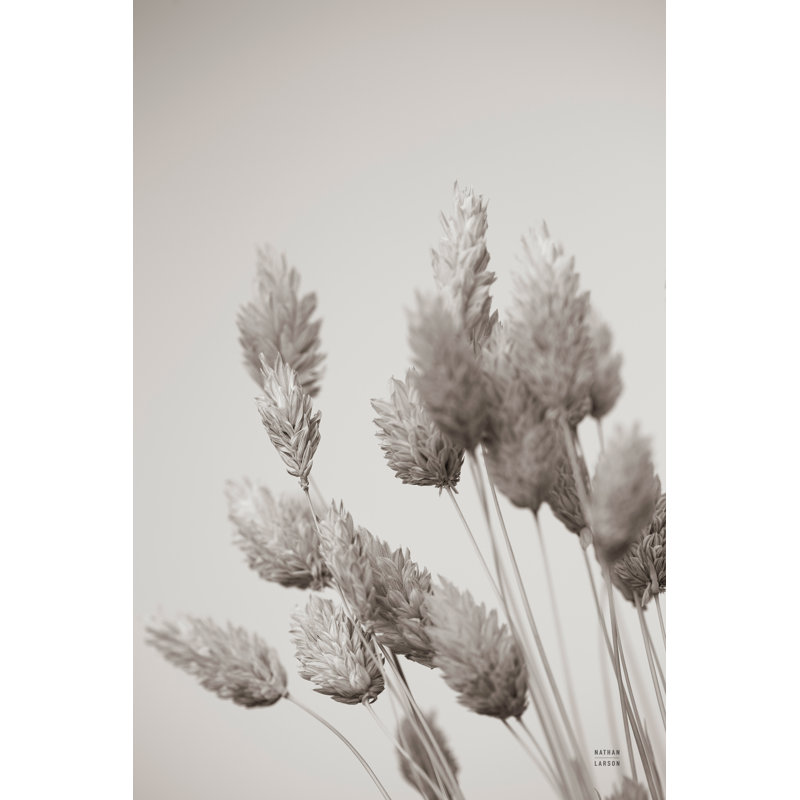 Wistful by Nathan Larson - Photograph, No, Gold Framed Print, 36"H x 24"W