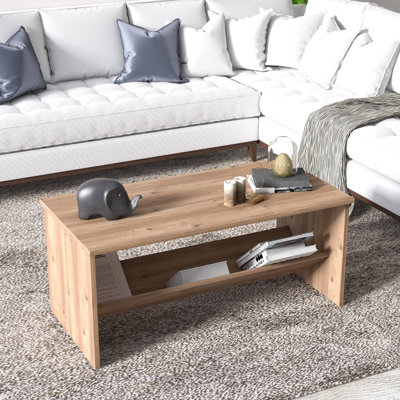 Terna Center Coffee Table, Modern Tea Table with Storage Shelf, 100 x 50 x 44 cm Cocktail Table