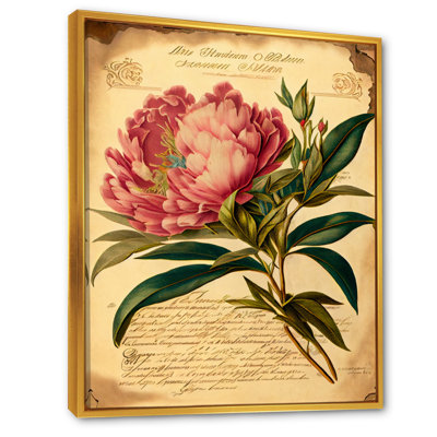 Vintage pivoine rose et blanche III - reproduction sur toile