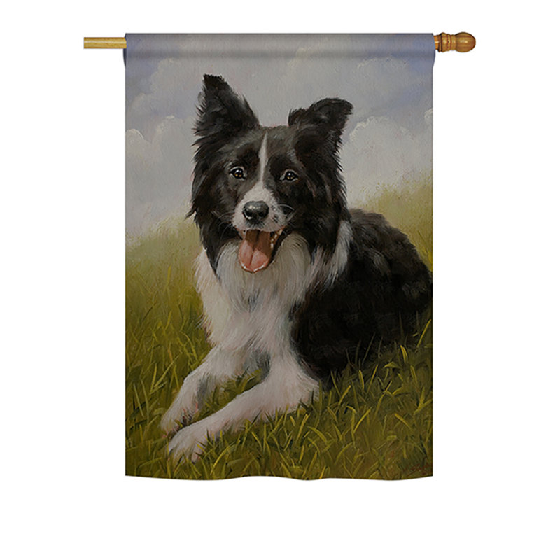 Drapeau de maison Gamella Border Collie, H 40 po x l 28 po