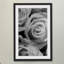 Judy Stalus - Single Picture Frame Print-20708746