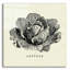 «Linen Légumes BW Sketches» par Studio Mousseau-725794628