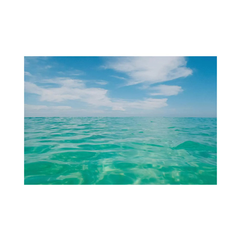 Florida Water III by Bethany Young - Print on Canvas, Wrapped Canvas, 45.72cm H x 66.04cm W x 1.91cm D