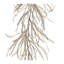 Guirlande scintillante en pin (ensemble de 2)