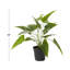 Plante à feuillage artificiel en pot