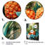 Ananas vert et bleu, paradis tropical I - fruits, art mural-1188894070