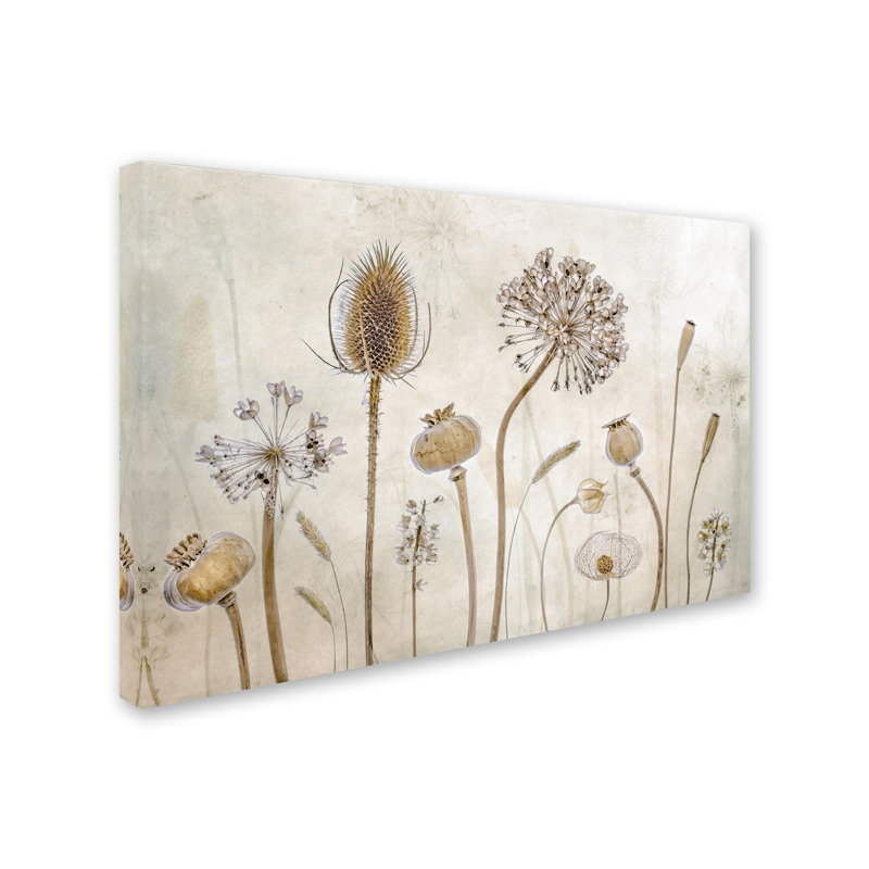 Art mural sur toile tendue - Mandy Disher «Growing Old», art mural pour salon, chambre à coucher ou bureau - 22 x 32