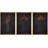 Grunge Moody Flower Minimalist Floral and Botanical Framed Canvas 3 Pieces Set Print Wall Art-91875207-91875205