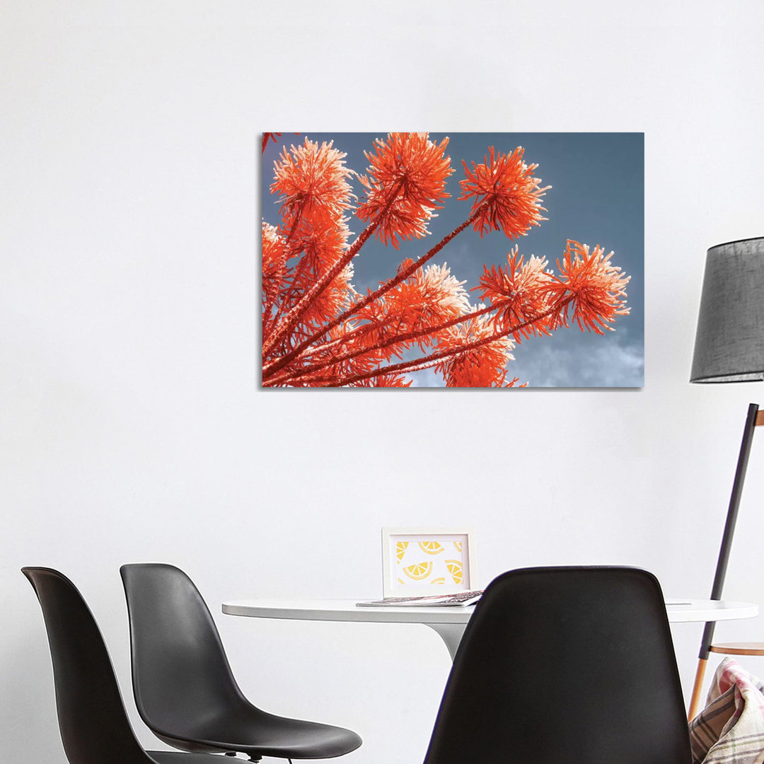 Red Trees by Glauco Meneghelli - Wrapped Canvas Print