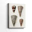 Collection Cone Shell I -Gallery Wraraped Cavas-2086484121