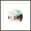 Salmon Mint Gum 1 Print-1217774837