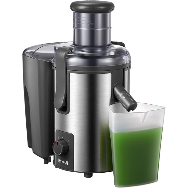 https://assets.wfcdn.com/im/32983944/resize-h600-w600%5Ecompr-r85/1896/189637524/2-Speed+Wide+Mouth+Centrifugal+Juice+Extractor.jpg