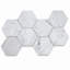 9 in. x 15 in. Honeycomb Polished Marble Tile