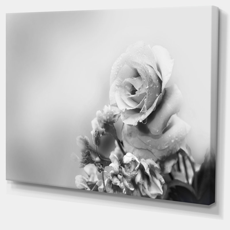 «Black and White Rose in Spring». Impression sur toile tendue, H 28 po x l 60 po
