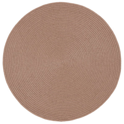 Allionna Hand Woven Performance Solid Color Rug