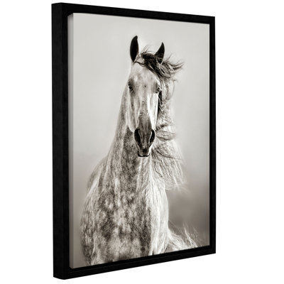 Caballo de andaluz, reproduction de photo encadrée