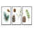 Cadre noir sélectionné
