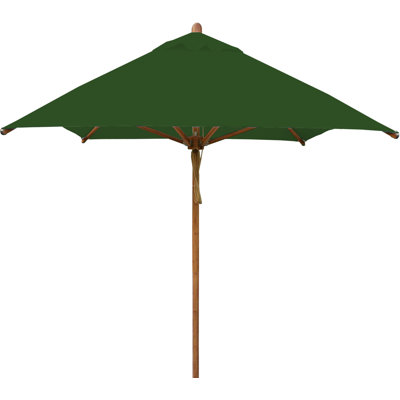 Levante 120'' W Umbrella