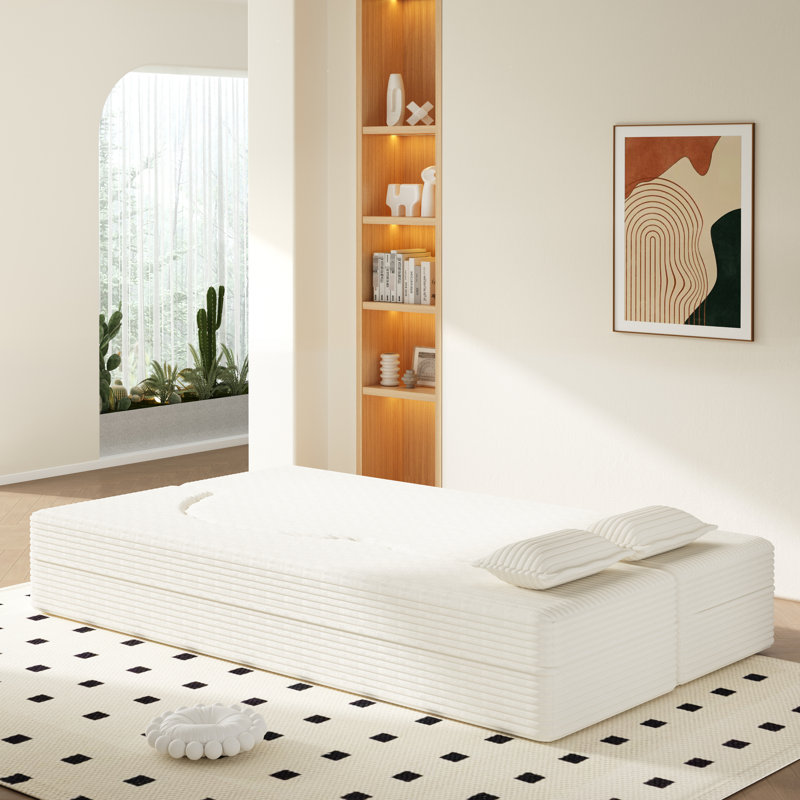 Modern Floor Sofa with 2 Pillows