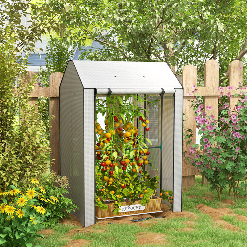 Mini serre portative à tomates avec évents, blanc