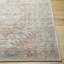 Oriental Indoor Rug-1846578335