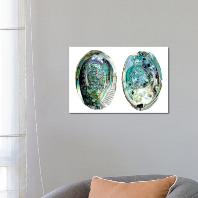 Abalone Shells I NMC215