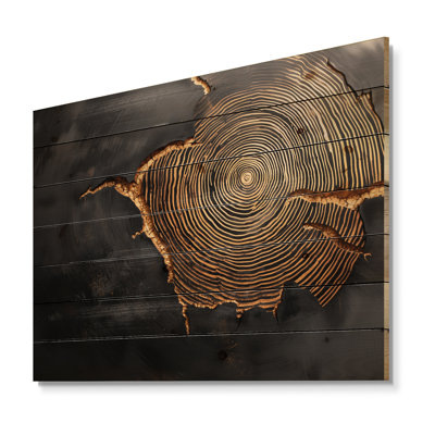 Stone Black Wood Slide Harmony - Tree Wood Wall Decor - On Natural Pine Wood