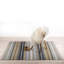 Barrows Striped Hand Woven Area Rug-35613484