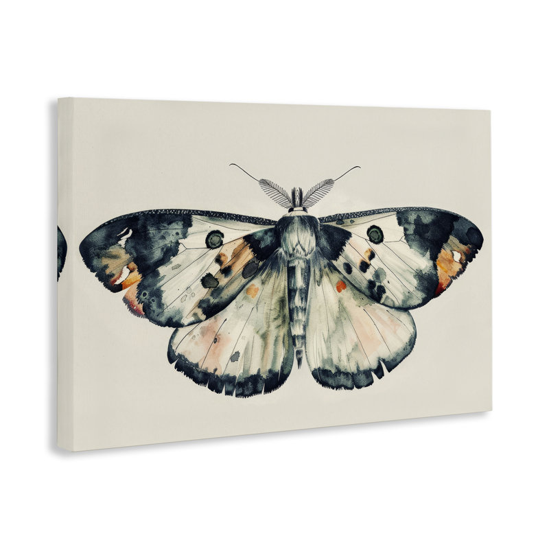 «Watercolor Black» par Petal Prints Design, H 16 po x l 24 po