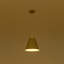 1 - Light Pendant