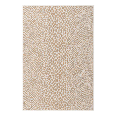 Jill Zarin Cape Town Indoor/Outdoor Rug