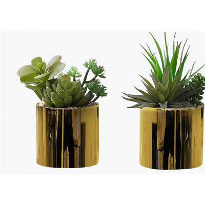 Artificial Plant, 7" Tall, Succulent, Indoor, Faux, Fake, Table, Greenery, Potted, Set Of 2, Decorative, Green Plants, Glossy Gold Pots