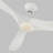 Franny Ceiling Fan with LED Lights-2008673707-1891806493