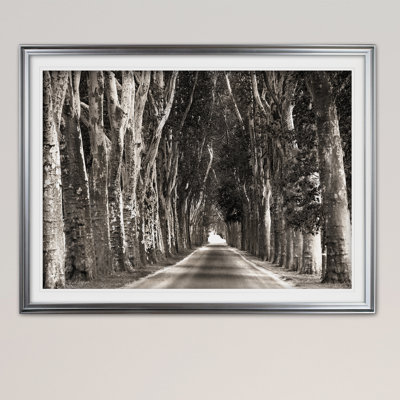 " Stately Road "