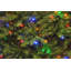 National Tree Company Dunhill Fir Tree with Dual Color LED Lights and PowerConnect-1865348524