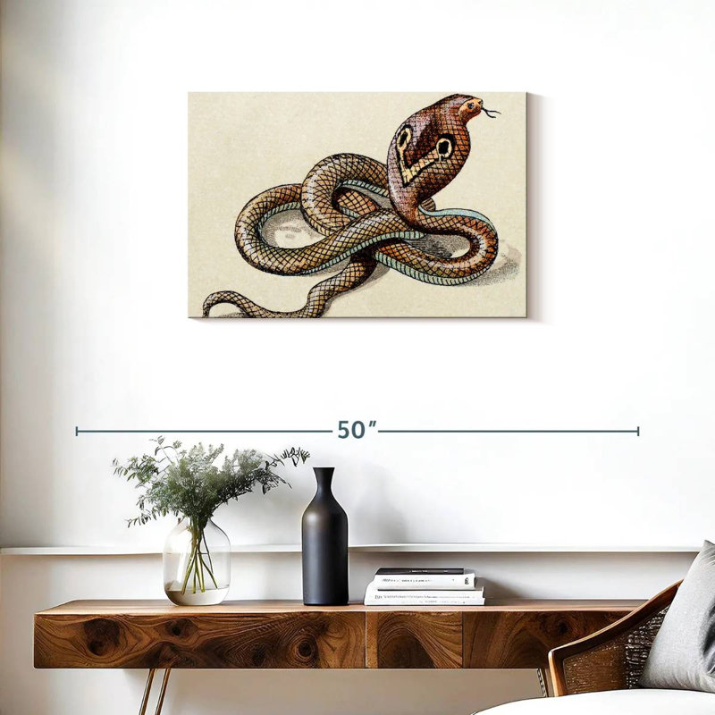 Brampt Indian Cobra, 20" H x 30" W