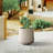 Laihla Pot Planter-1171178246-1171178248