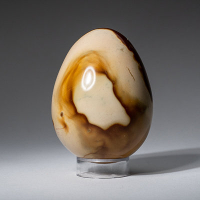 Véritable œuf polychrome poli de Madagascar (0,85 lb)
