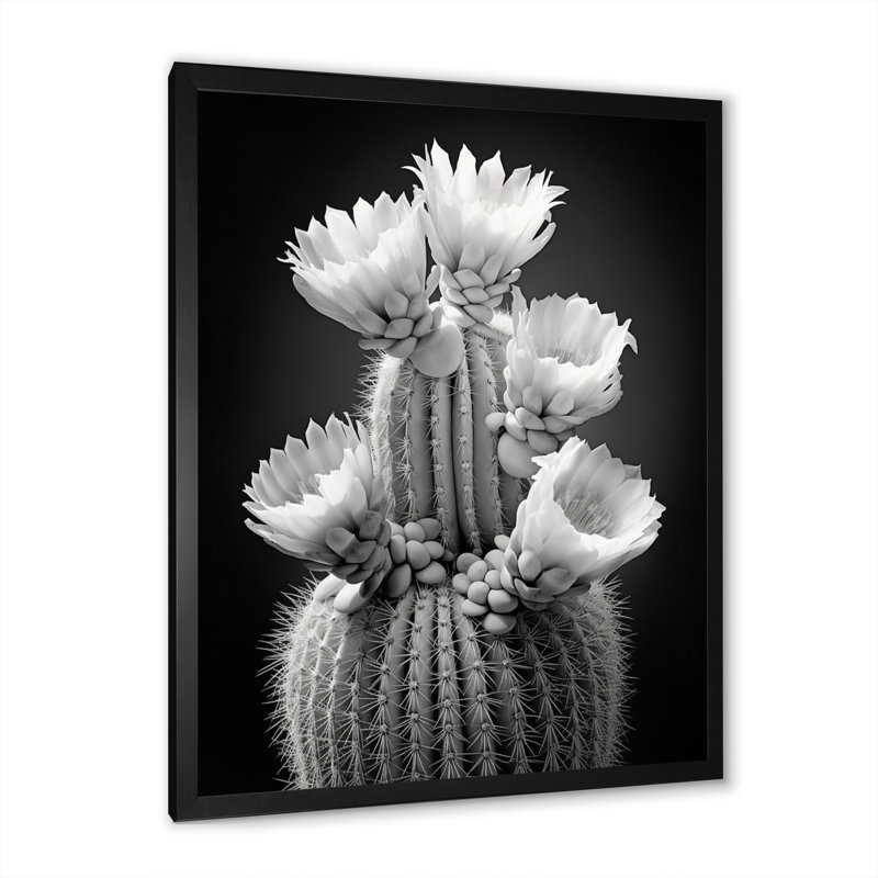 «Iyaad Grey Cactus Elegance In Mon monochrome II», reproduction sur toile, H 20 po x l 12 po x P 1 po, Cadre photo noir