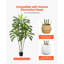 Arbre artificiel artificiel Dracaena avec plante blanche-948328351